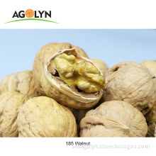 new crop wholesale walnuts in shell for sale